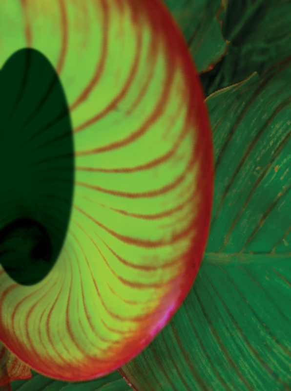 Carrier Contract Header2