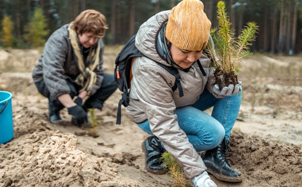 Evironmental Stewardship-1