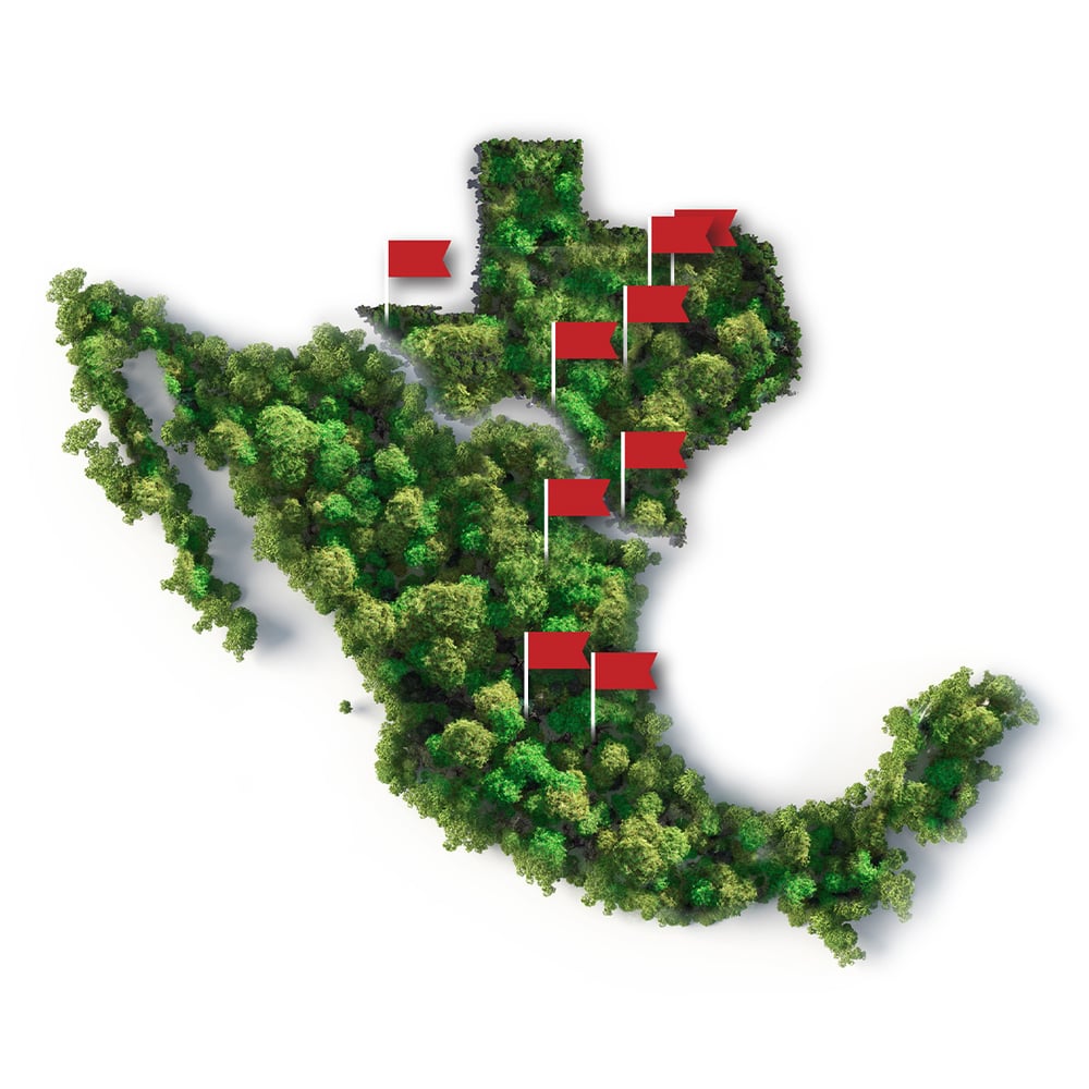 Tree Map Mexico Texas