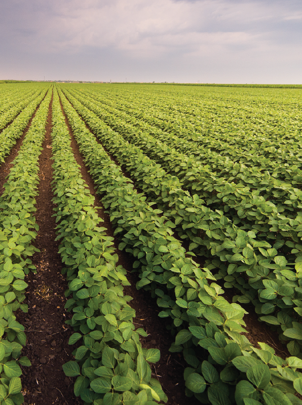 Warehouse Distribution2