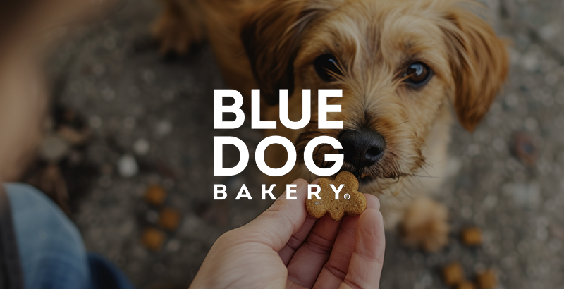 BlueDogBakery-CaseStudy