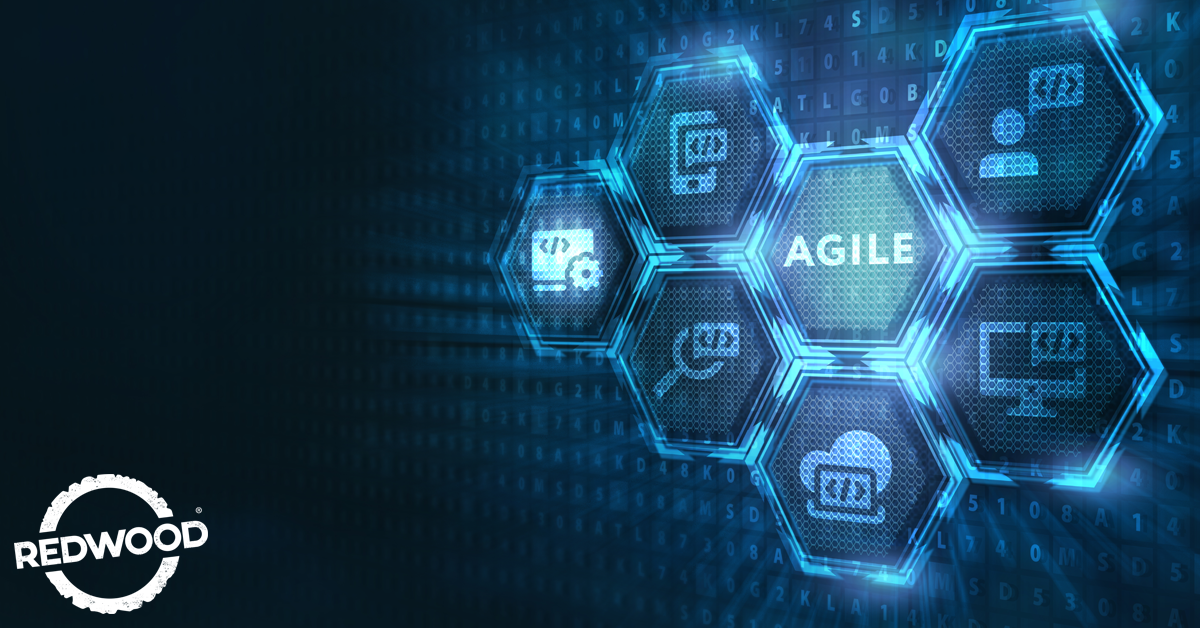 Lean or Agile Supply Chain