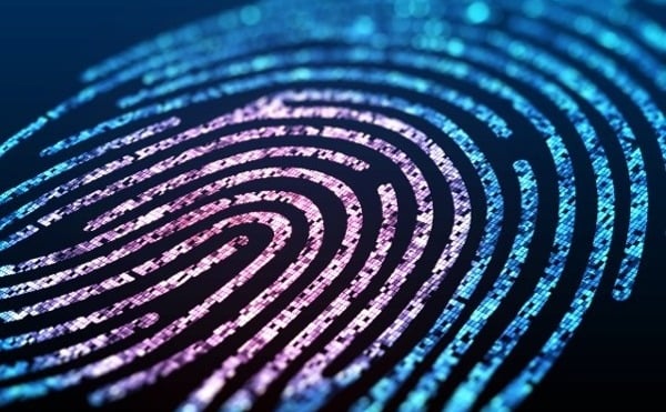 colorful digital fingerprint